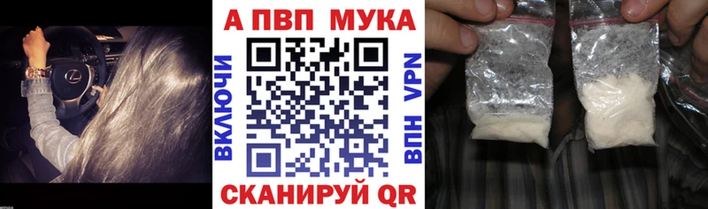 закладка Приморск мега ТОР Альфа ПВП крисы CK