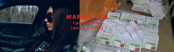 гидропоника Алексеевка