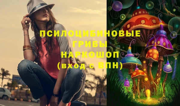 гидропоника Алексеевка