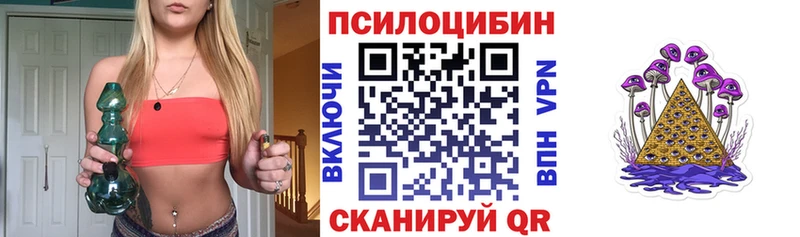 Псилоцибиновые грибы мицелий  наркота  Приморск 