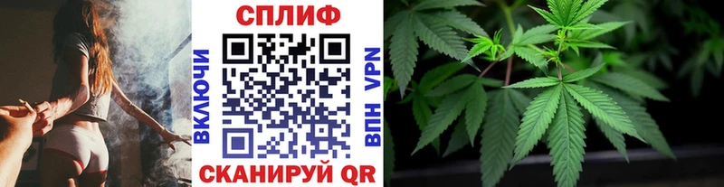 Канабис гибрид Приморск